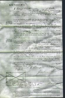 Court of Common Pleas - Elizabeth Riley-Original Ancestry