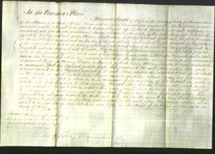 Court of Common Pleas - Mary Whysall-Original Ancestry