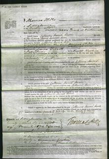 Court of Common Pleas - Catherine Harriet Hoare-Original Ancestry