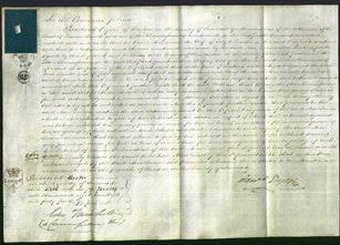 Court of Common Pleas - Ann Lemon-Original Ancestry