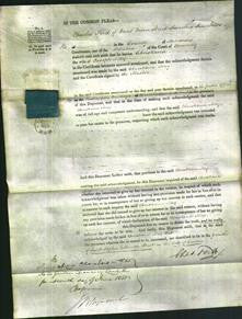 Court of Common Pleas - Christiana May-Original Ancestry