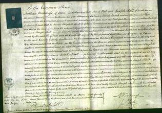 Court of Common Pleas - Elizabeth Brocklehurst-Original Ancestry