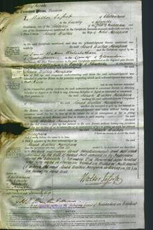 Court of Common Pleas - Sarah Walker Hampson-Original Ancestry