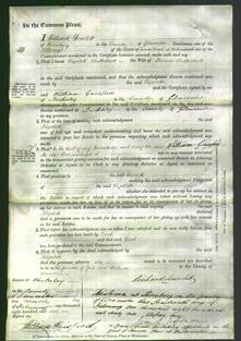 Court of Common Pleas - Elizabeth Clutterback-Original Ancestry