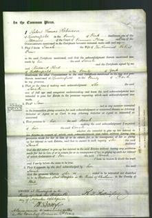 Court of Common Pleas - Sarah Crowe-Original Ancestry