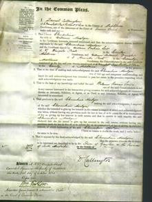 Court of Common Pleas - Clementina Mostyn-Original Ancestry