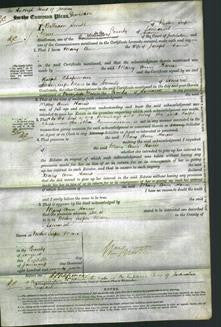 Court of Common Pleas - Mary Ann Harris-Original Ancestry