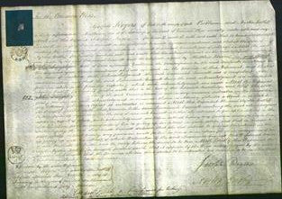 Court of Common Pleas - Susannah Emmett-Original Ancestry