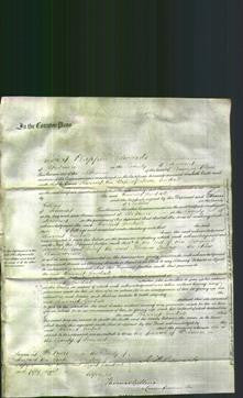Court of Common Pleas - Harriet Goodall-Original Ancestry