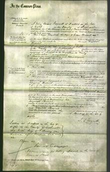 Court of Common Pleas - Elizabeth Bessant-Original Ancestry