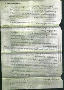 Court of Common Pleas - Martha Ann Field-Original Ancestry