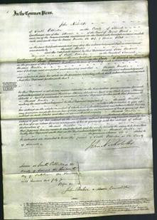 Court of Common Pleas - Martha Follett-Original Ancestry