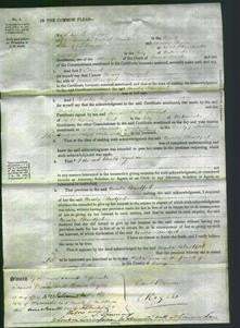 Court of Common Pleas - Ursula Blandford-Original Ancestry