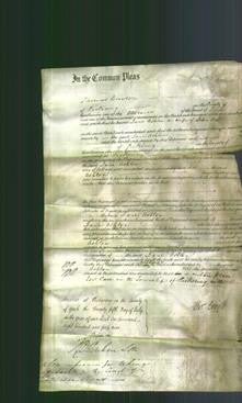 Court of Common Pleas - Jane Ashton-Original Ancestry