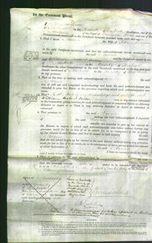 Court of Common Pleas - Naomi Morgan-Original Ancestry