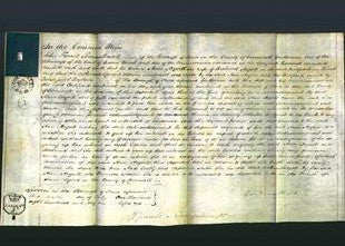 Court of Common Pleas - Ann Argall-Original Ancestry