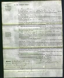 Court of Common Pleas - Mary Ann Hammond-Original Ancestry