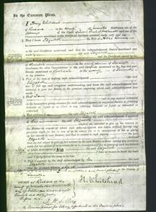 Court of Common Pleas - Elizabeth Lomax-Original Ancestry