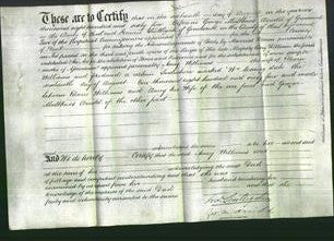Deed by Married Women - Amey Williams-Original Ancestry