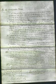 Court of Common Pleas - Mary Ann Thorp and Jane Francis-Original Ancestry