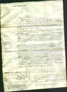 Court of Common Pleas - Rachel Thomas, Elizabeth Fox and Rebecca Davies-Original Ancestry