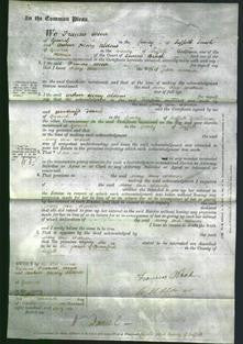 Court of Common Pleas - Mary Ann Warner-Original Ancestry