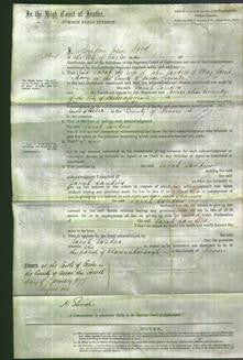 Court of Common Pleas - Sarah Sanders-Original Ancestry