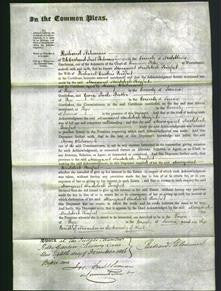 Court of Common Pleas - Margaret Haddock Pomfret-Original Ancestry