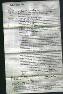 Court of Common Pleas - Mary Cooke-Original Ancestry