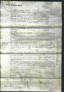 Court of Common Pleas - Mary Davis-Original Ancestry