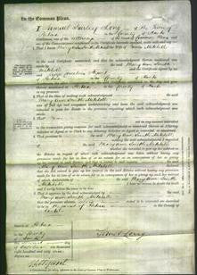 Court of Common Pleas - Mary Ann Smith Mitchell-Original Ancestry