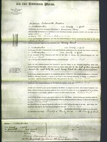 Court of Common Pleas - Selina Cust-Original Ancestry