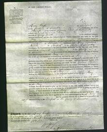 Court of Common Pleas - Mary Hindle-Original Ancestry