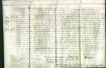 Court of Common Pleas - Margaret Ferguson-Original Ancestry