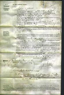 Court of Common Pleas - Eliza Mary Josephina Swaffield-Original Ancestry
