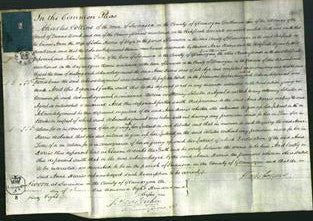 Court of Common Pleas - Anne Harris-Original Ancestry