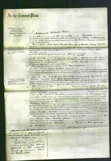 Court of Common Pleas - Jane Alice Barber Coasier-Original Ancestry