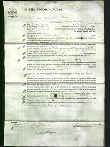 Court of Common Pleas - Emma Wolley-Original Ancestry