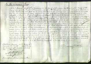 Court of Common Pleas - Ann Jones-Original Ancestry