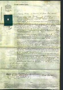 Court of Common Pleas - Elizabeth Farrer-Original Ancestry