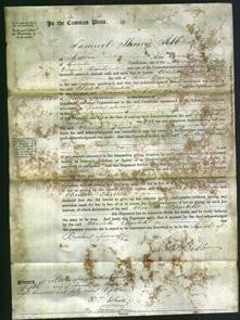 Court of Common Pleas - Charlotte Elizabeth Quincey-Original Ancestry