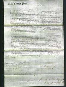 Court of Common Pleas - Elizabeth Burkinshaw-Original Ancestry