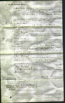 Court of Common Pleas - Anne Randolph-Original Ancestry