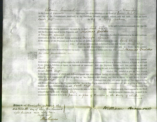 Court of Common Pleas - Sarah Eliza Speakman-Original Ancestry
