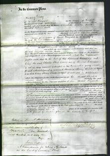 Court of Common Pleas - Elizabeth Ehretia Smith-Original Ancestry