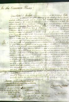 Court of Common Pleas - Ann Reddish Scotson-Original Ancestry