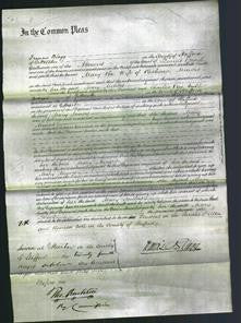 Court of Common Pleas - Mary Minors-Original Ancestry