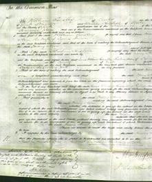 Court of Common Pleas - Mary Ann Brown-Original Ancestry