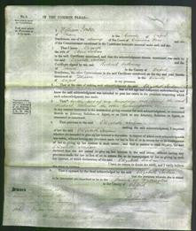 Court of Common Pleas - Elizabeth Jordan-Original Ancestry