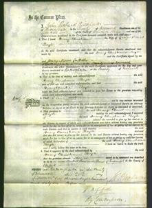 Court of Common Pleas - Mary Christiana Boyle-Original Ancestry